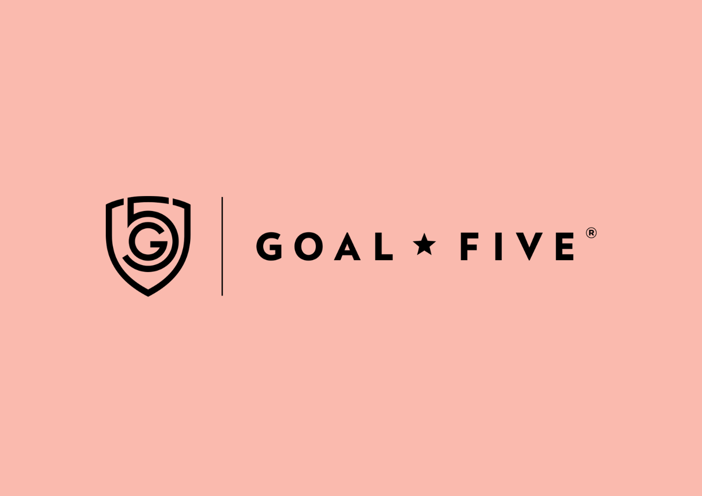 new-interim-ceo-announced-goal-five